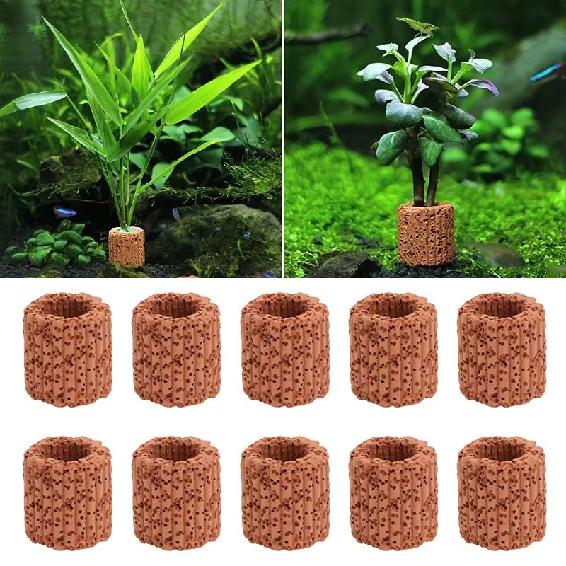 Aquarium Plant Growing - Fester Ring für Wasserpflanzen für Aquarien,