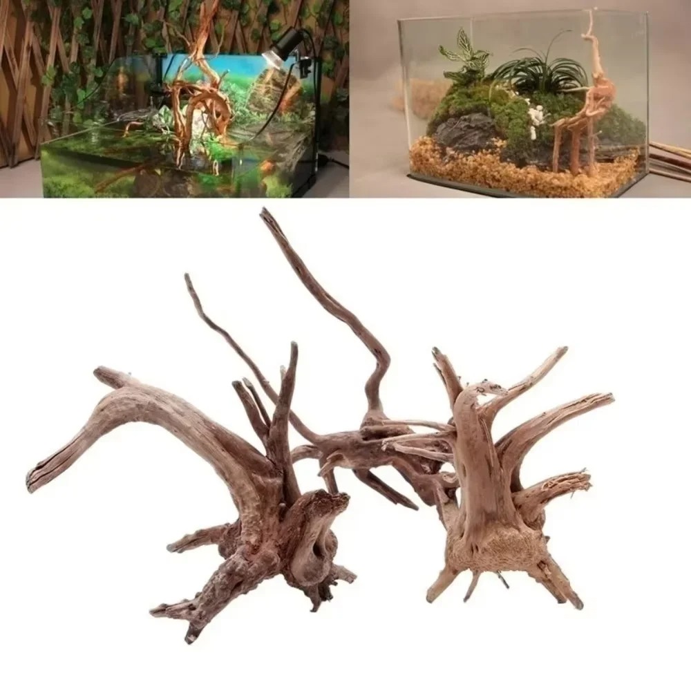 Aquarium Planting Ideas - 15-20CM Natürliches Treibholz Aquarium-Dekoration - Premium
