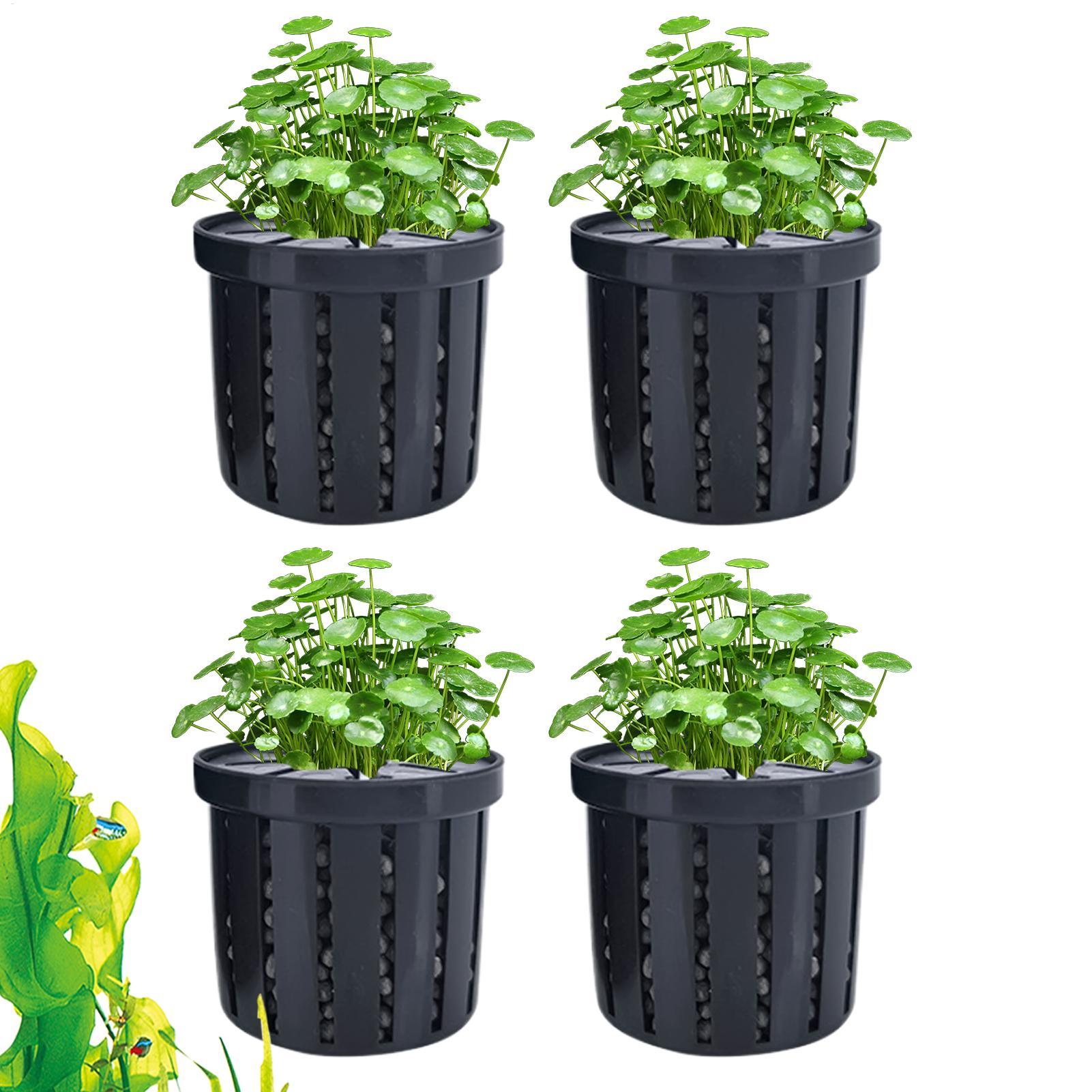 Aquarium Plant Rings - 4-teiliger Aquarium-Pflanztopf mit Schwamm-Saugnäpfen, der sich