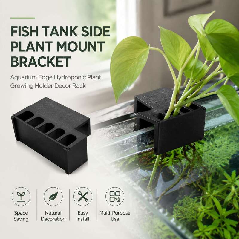 Aquarium Plant Diseases - Aquarium-Seitenhalterung für Pflanzen, Hydroponischer Pflanzenhalter für