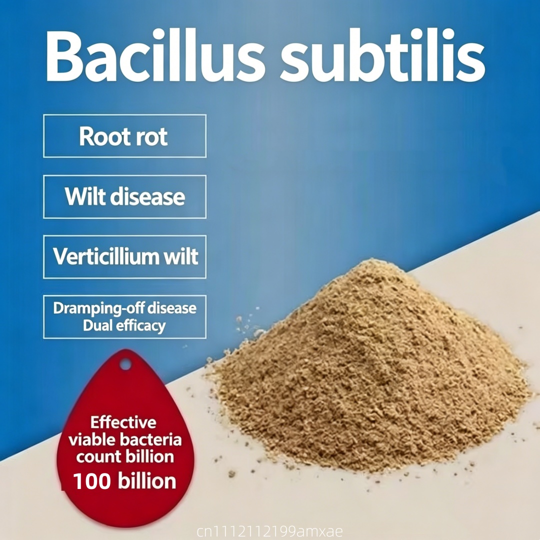 Aquarium Plant Diseases - Hochwirksames Bacillus Subtilis Pulver Organischer Probiotischer