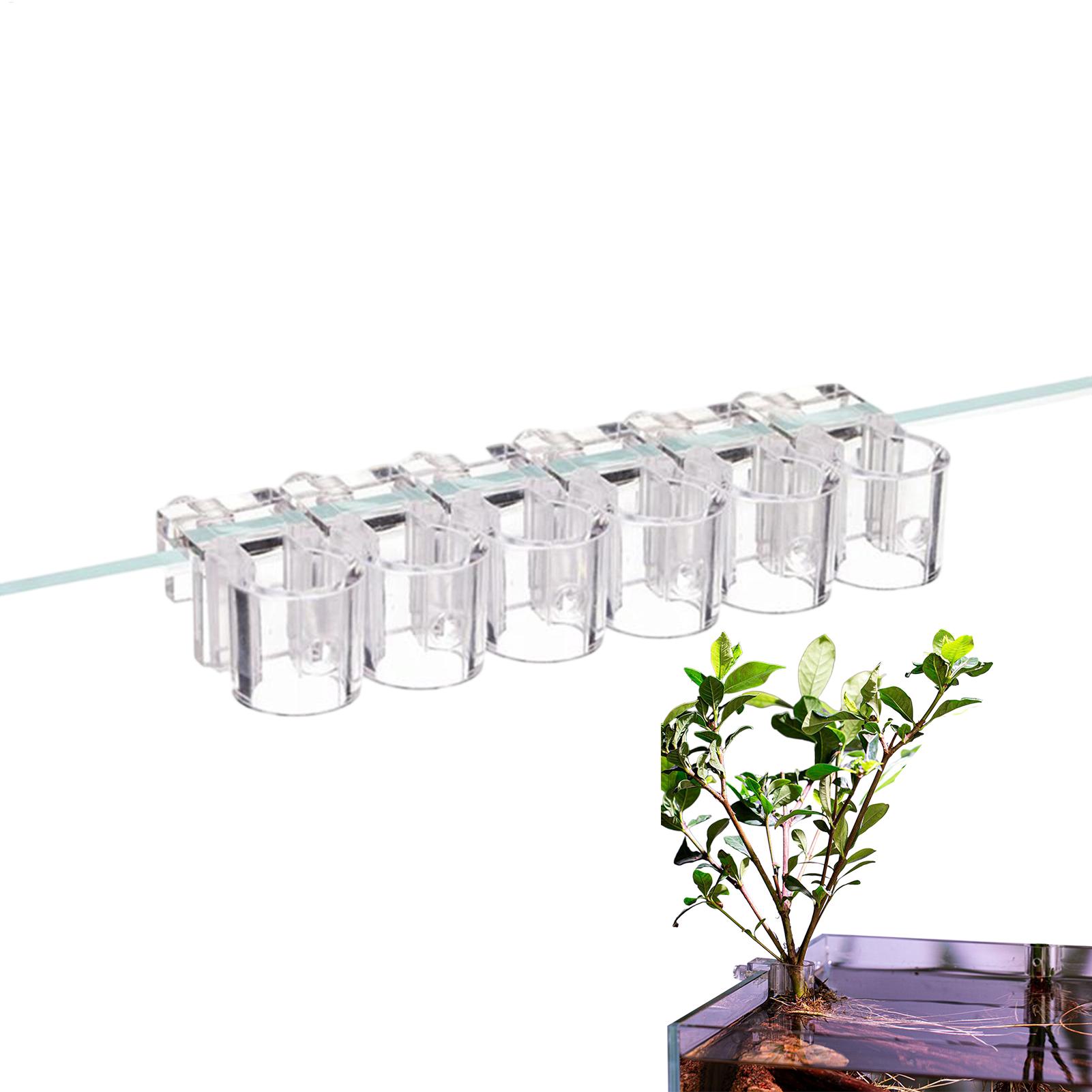Aquarium Plant Rings - Aquarium-Pflanzenkorb Transparenter Hängebehälter für Fischbecken Aquatische