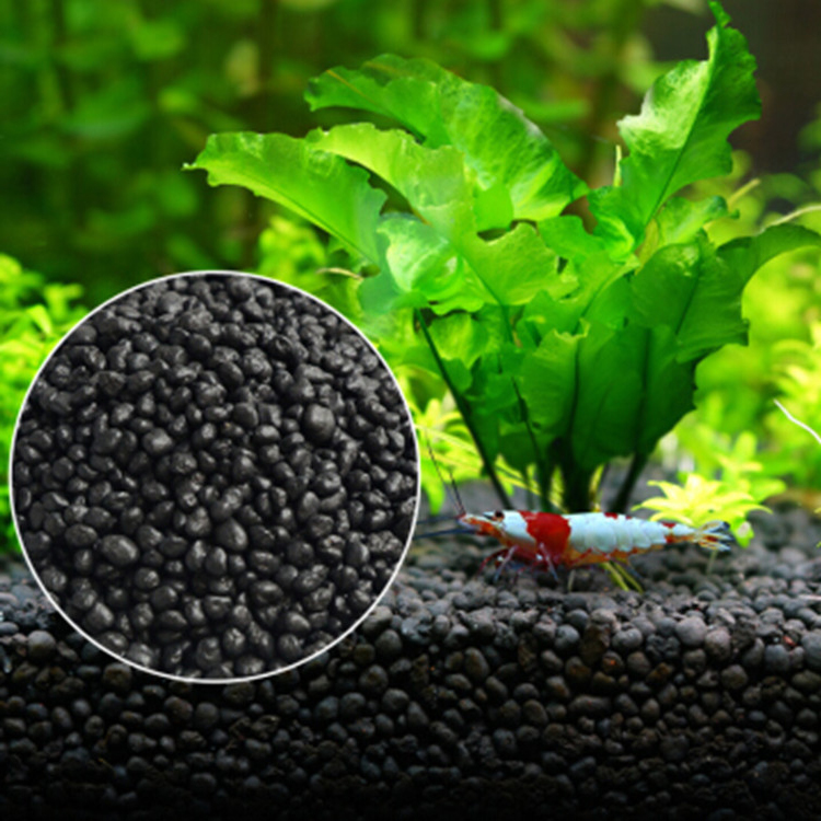 Aquarium Plant Diseases - Aquarium Pflanzen Samen Boden Fishtank Substrat