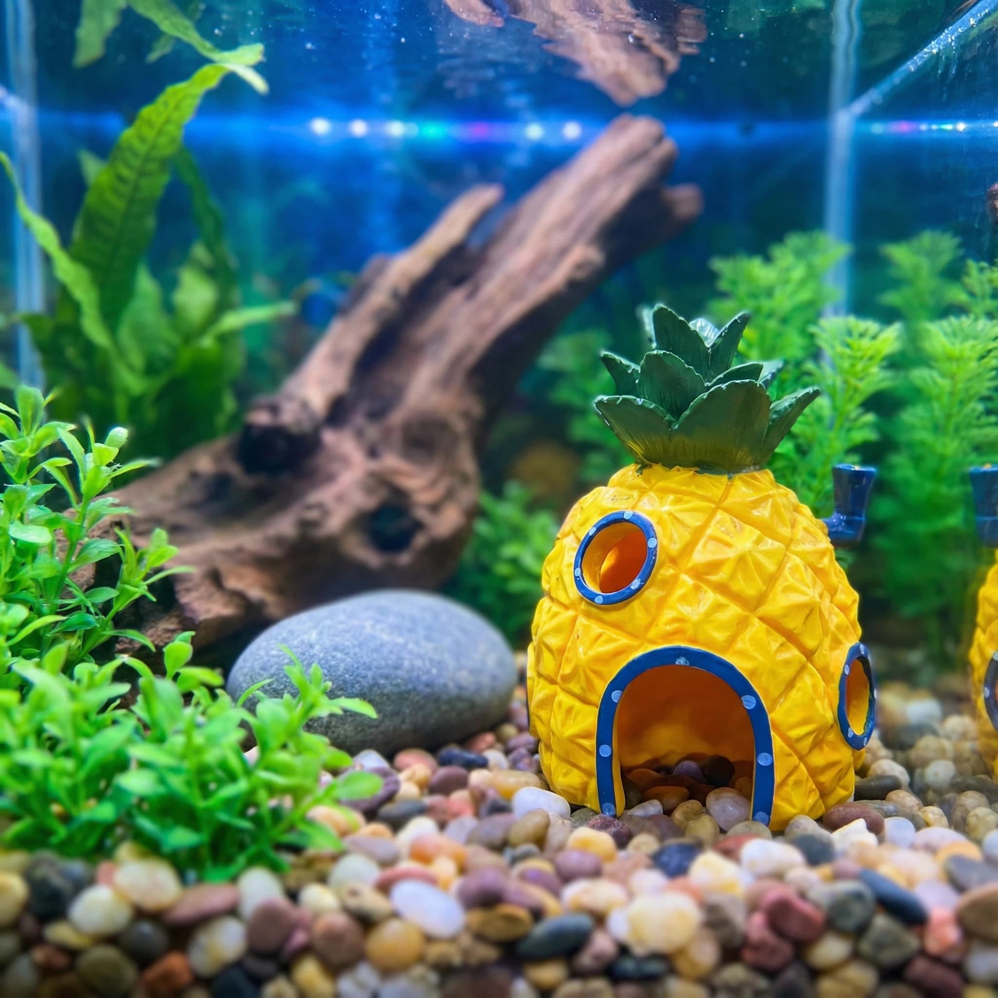 Aquarium Plant Growing - Ananas-Haus-Aquarium-Dekoration, umweltfreundliche Versteckhöhle aus Kunstharz für