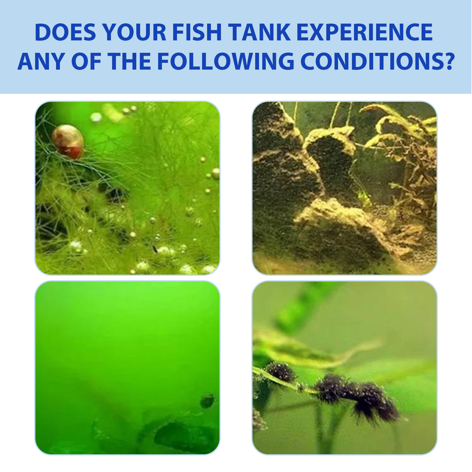 Biologisches Pulver zur Algenk – Planted Aquarium Algae Control Bewertung und Preis