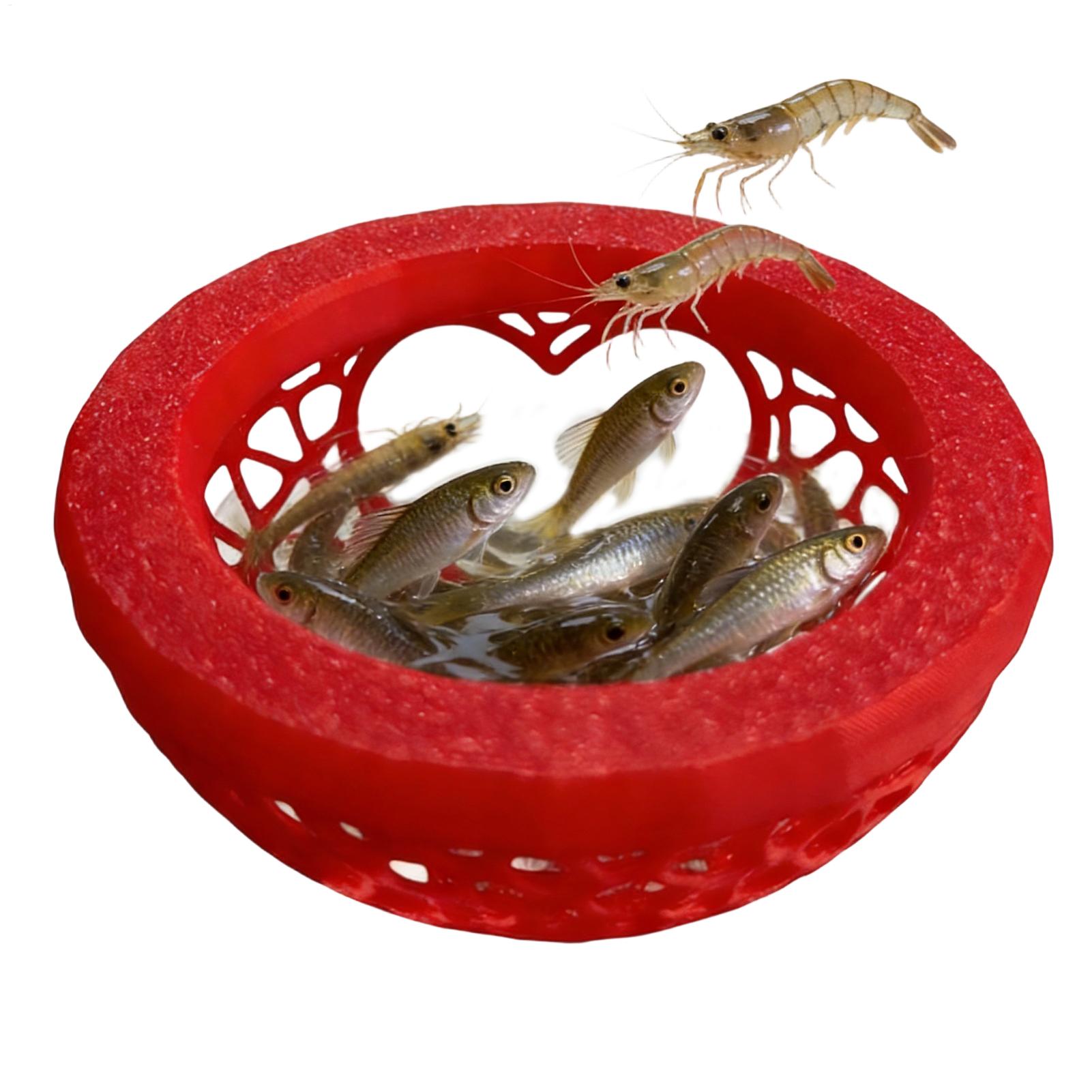Schwimmende Betta-Höhle Betta- – Aquarium Plant Rings Bewertung und Preis
