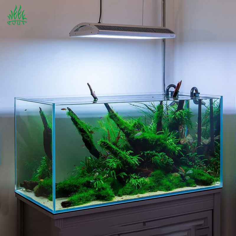 Week Aqua A430Pro LED-Aquarium – Planted Aquarium Uv Light Bewertung und Preis