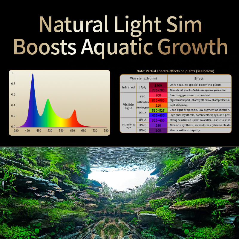 KASSRAY T200/T300 IR-A+UV Natü – Planted Aquarium Uv Light Bewertung und Preis