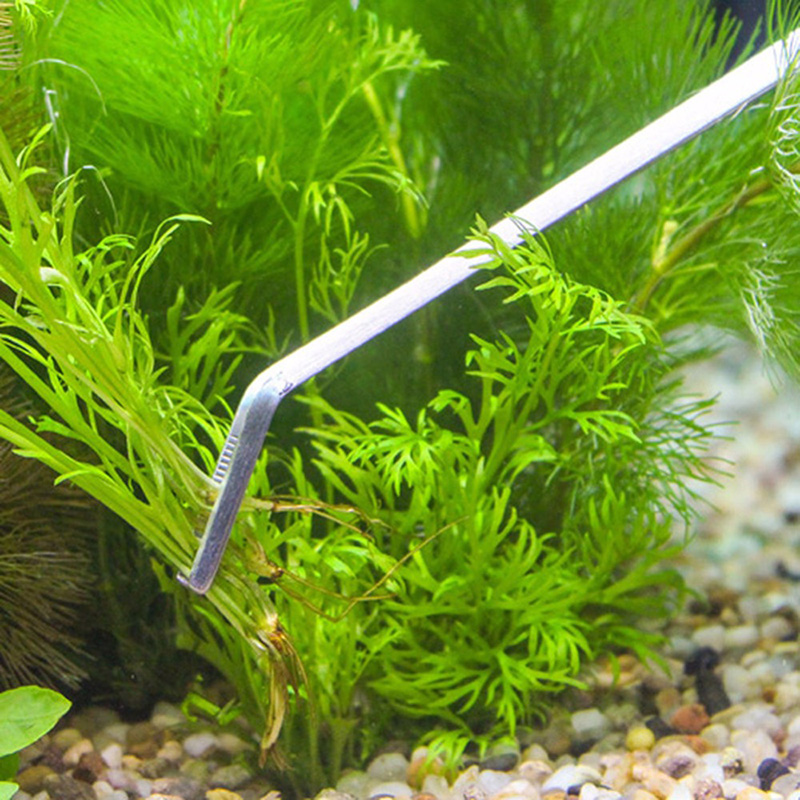 Professionelles Aquarium-Wartu – Planted Aquarium Maintenance Kit Bewertung und Preis