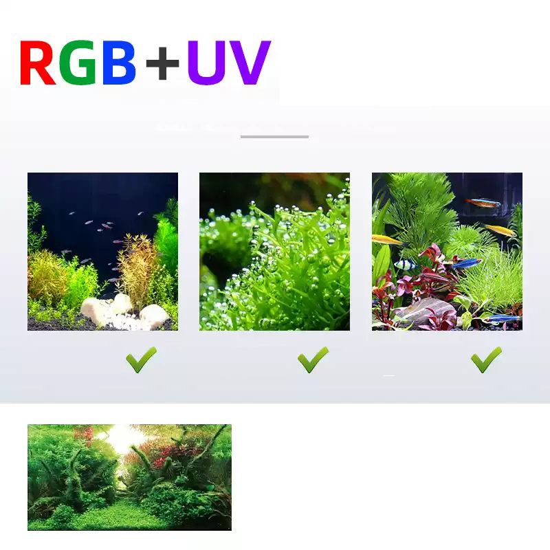 Woche Aqua L-Serie WRGB UV-Vol – Planted Aquarium Uv Light Bewertung und Preis