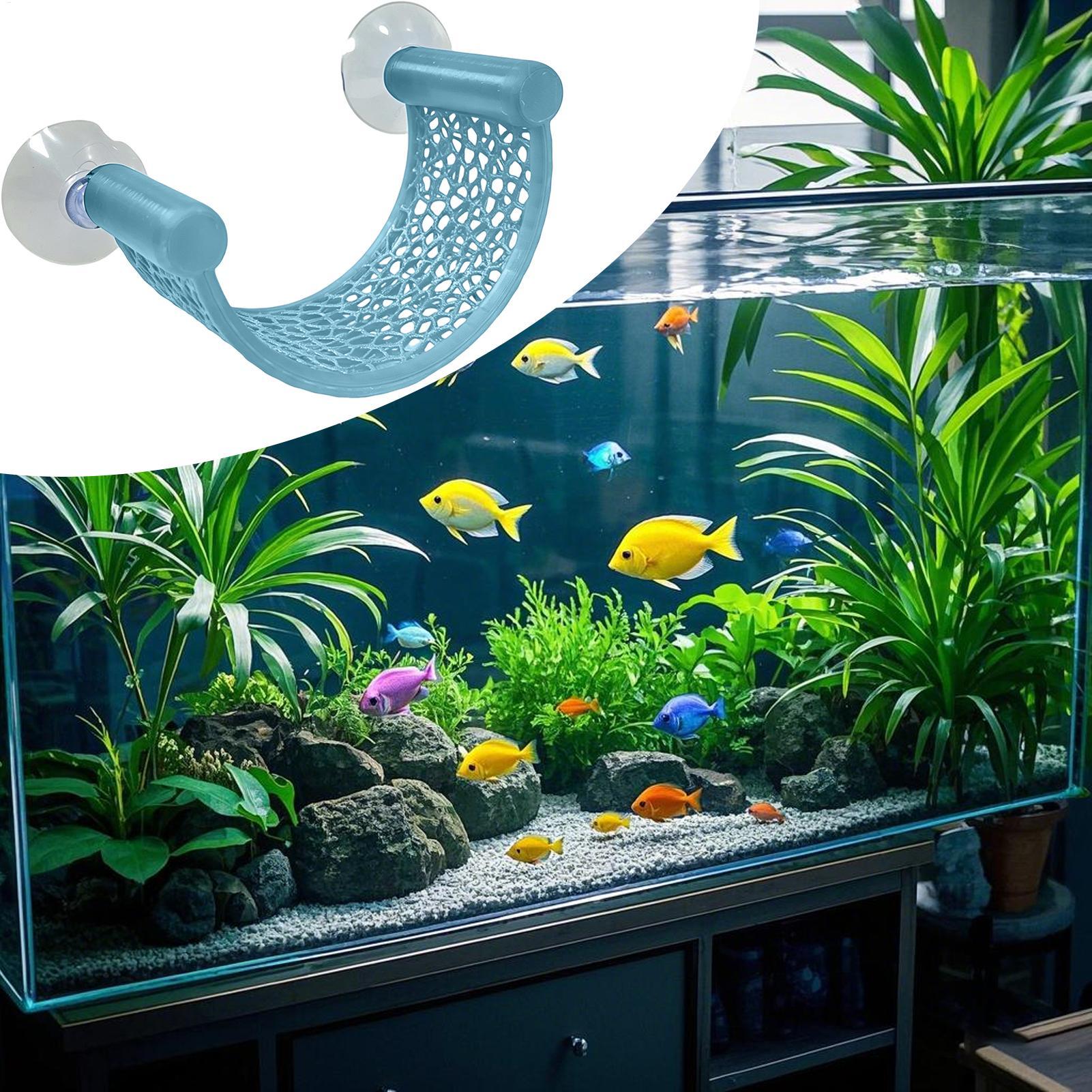 Schwimmende Betta-Fisch-Hängem – Aquarium Plant Rings Bewertung und Preis