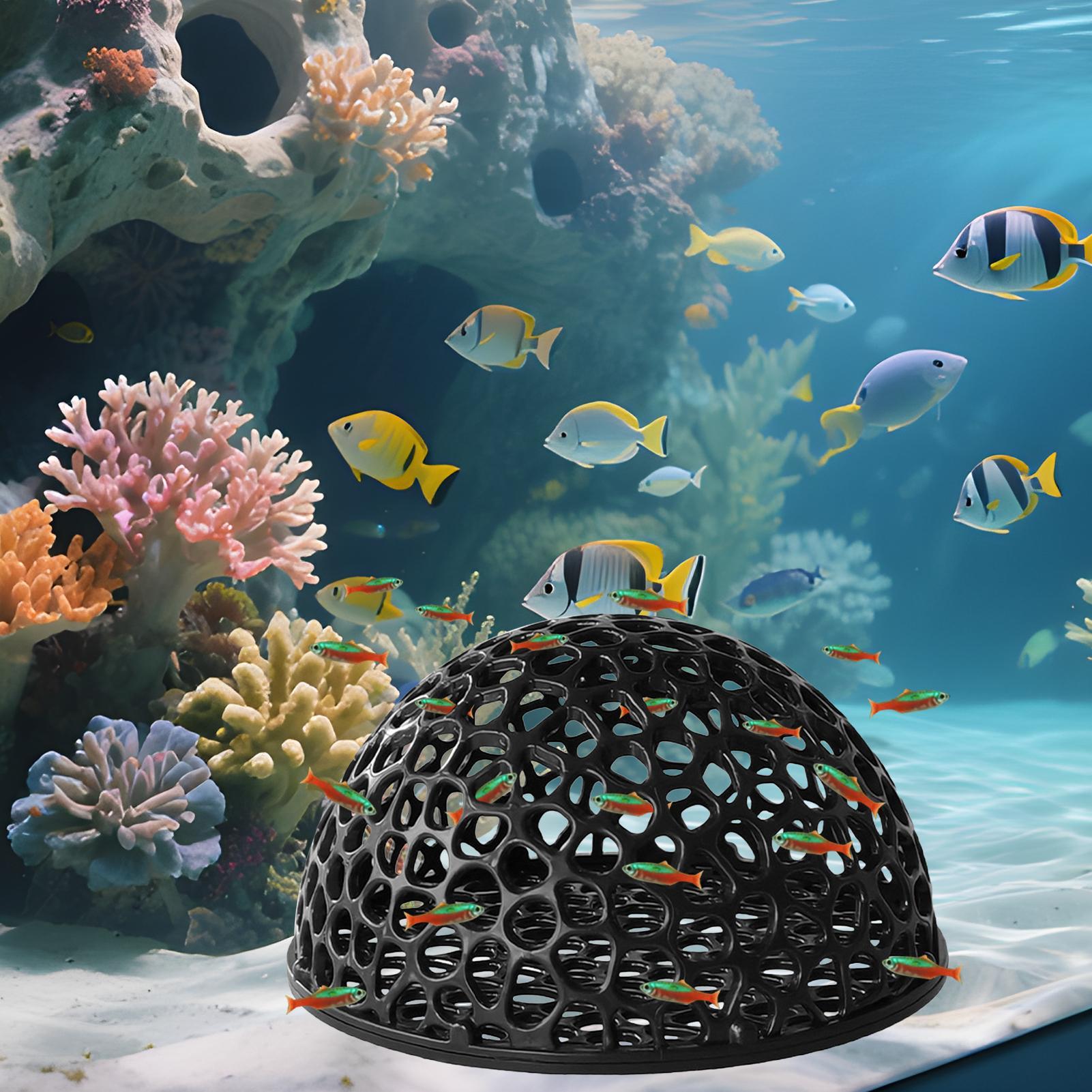 Aquarium-Hiden-Höhlenunterstan – Aquarium Plant Rings Bewertung und Preis