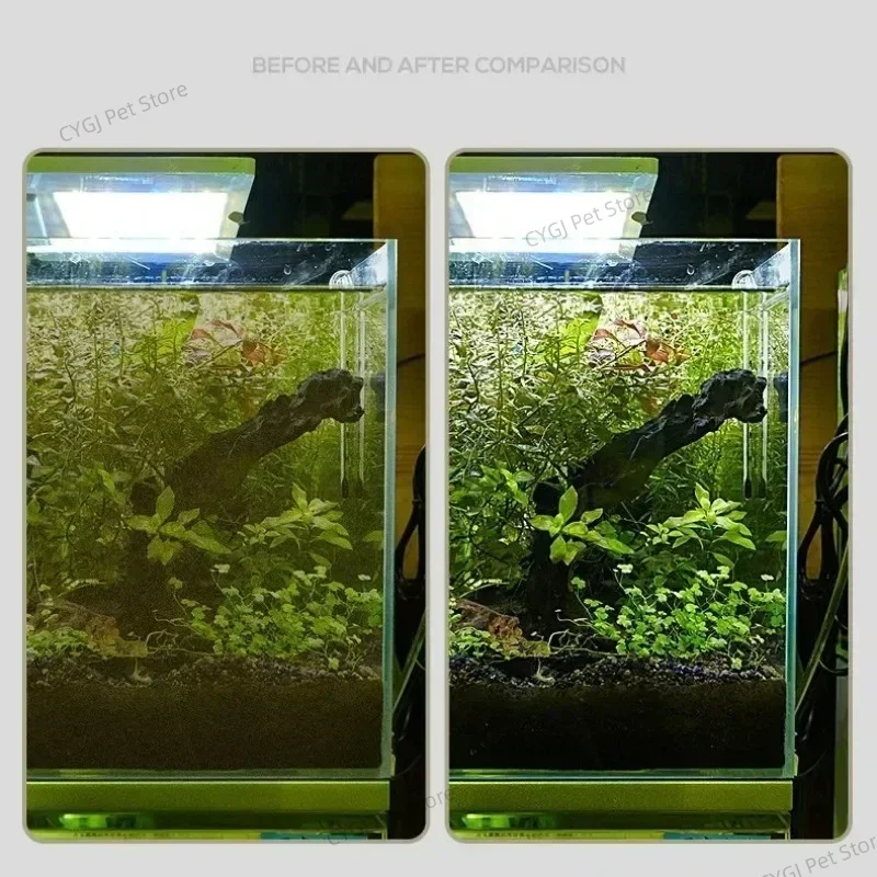 Aquarium Reinigung Werkzeug Fl – Planted Aquarium Maintenance Kit Bewertung und Preis