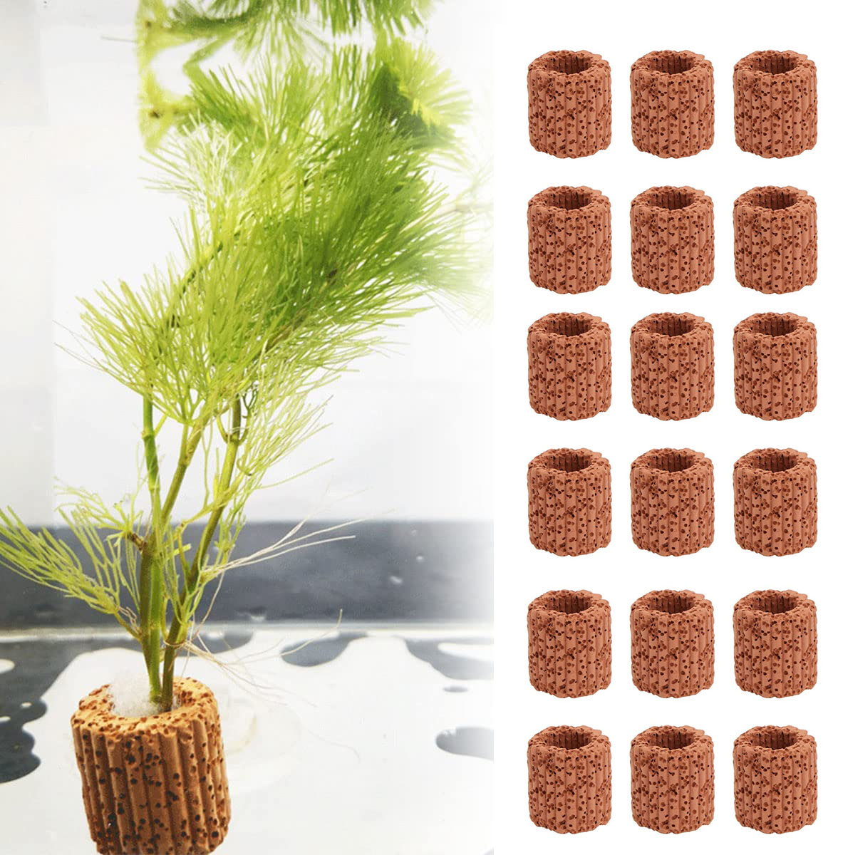 10/20pcs Wasser wasser pflanze – Aquarium Plant Rings Bewertung und Preis