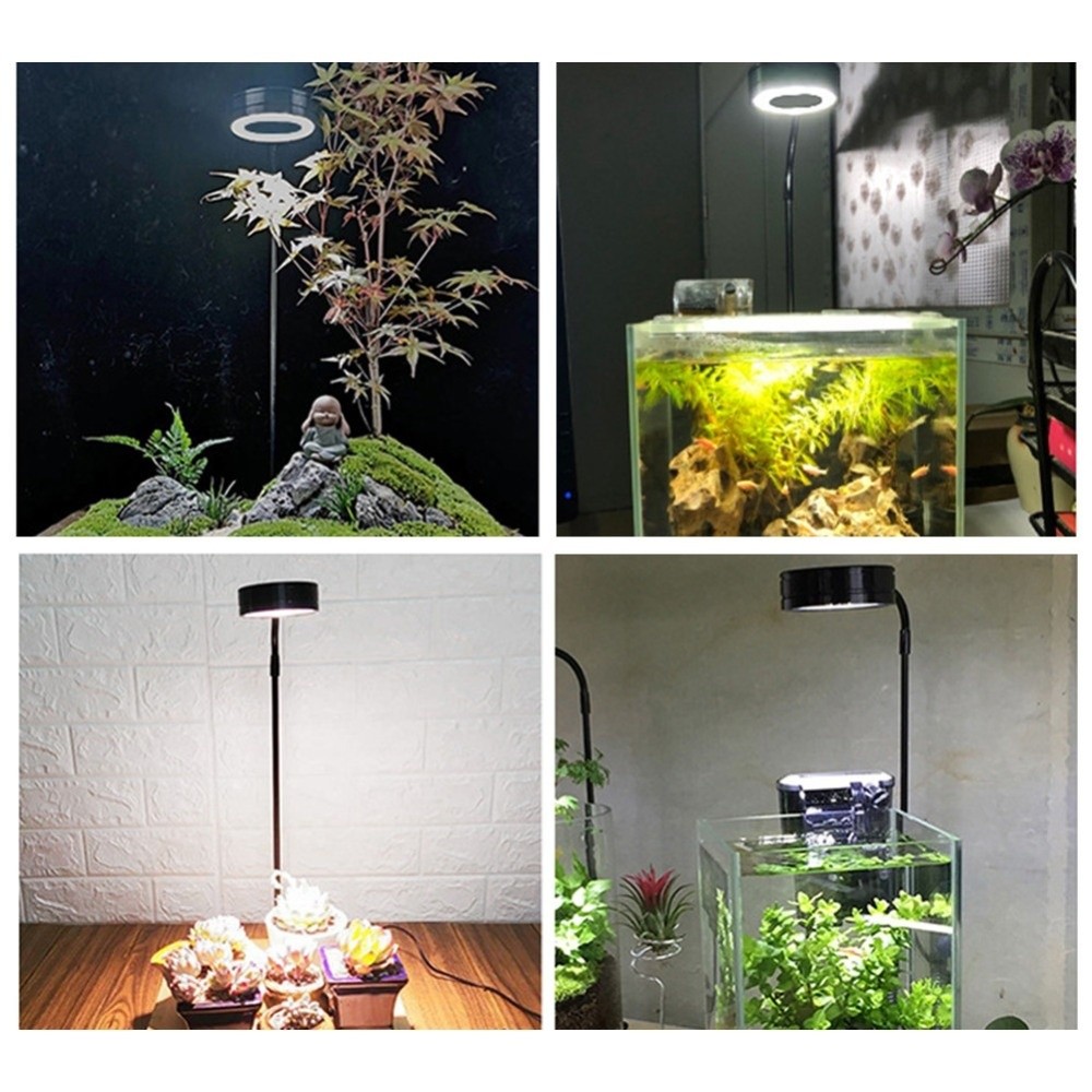10W Aquarium LED-Lampe mit Ver – Aquarium Plant Growth Light Bewertung und Preis