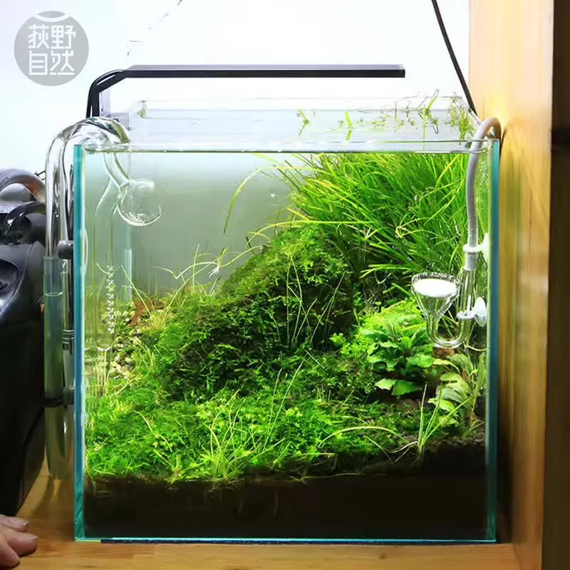 Spirituosen C-Serie ADA-Stil P – Aquarium Plant Growth Light Bewertung und Preis