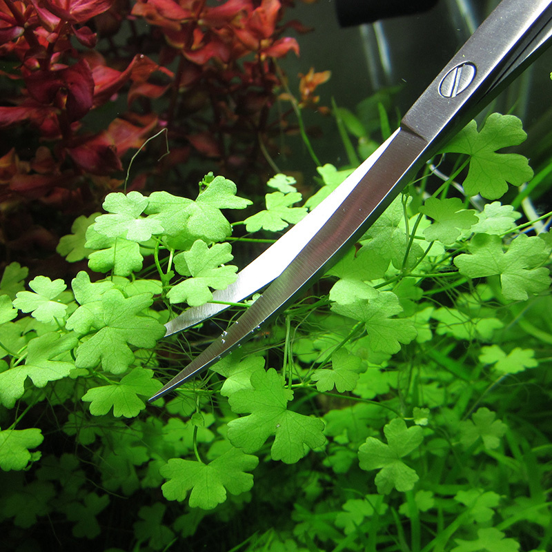Aquarium Zubehör Hart Edelstah – Planted Aquarium Maintenance Kit Bewertung und Preis