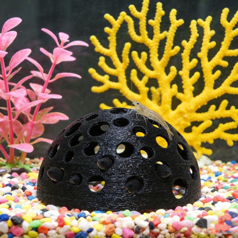 Versteckte Höhle für kleine Fi – Aquarium Plant Rings Bewertung und Preis