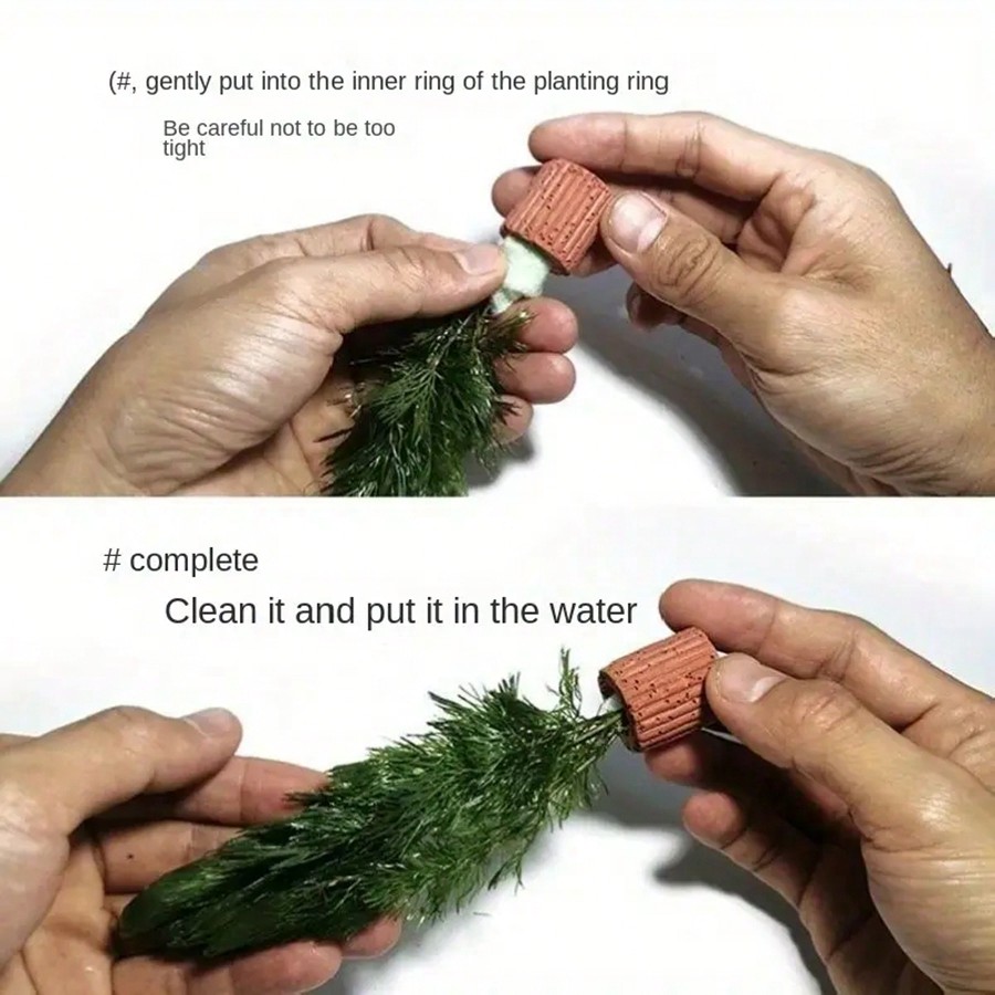 Hochwertige Fixierungsringe fü – Aquarium Plant Rings Bewertung und Preis