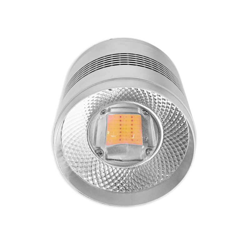 70W LED-Aquariumbeleuchtung fü – Planted Aquarium Algae Control Bewertung und Preis