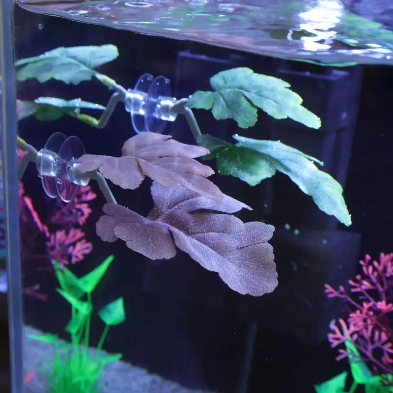 Betta Fischblatt-Hängematte fü – Aquarium Plant Rings Bewertung und Preis