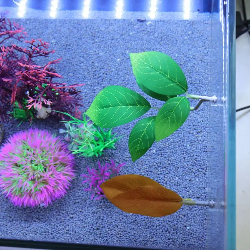 Betta Fischblatt-Hängematte fü – Aquarium Plant Rings Bewertung und Preis