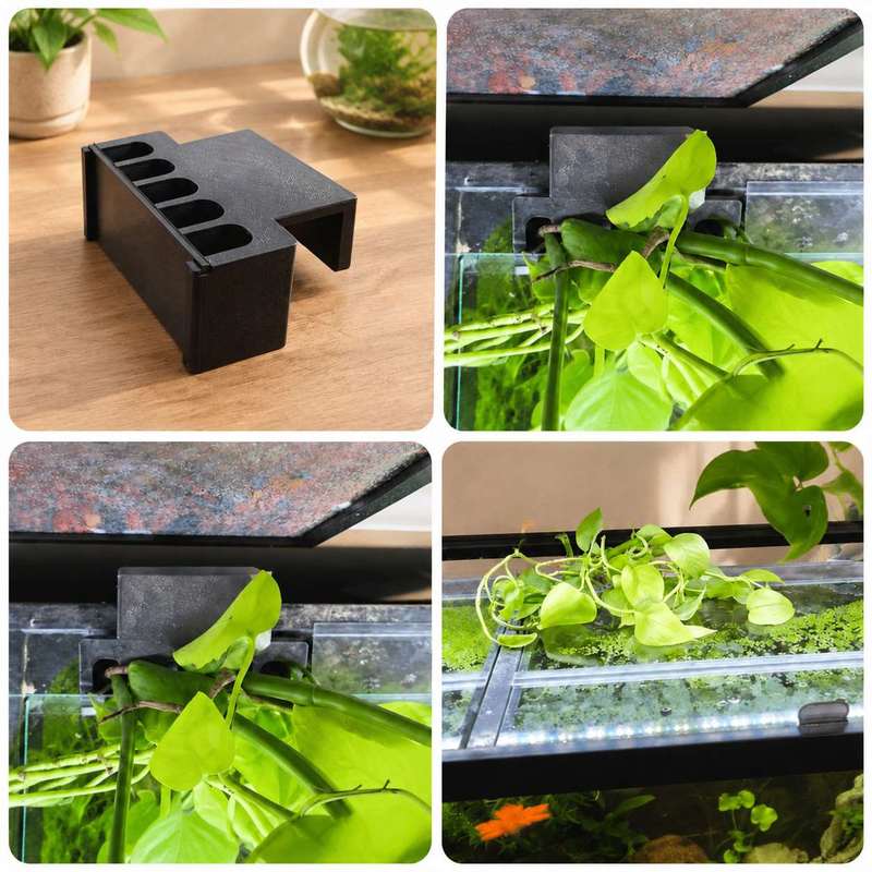 Aquarium-Seitenhalterung für P – Aquarium Plant Diseases Bewertung und Preis