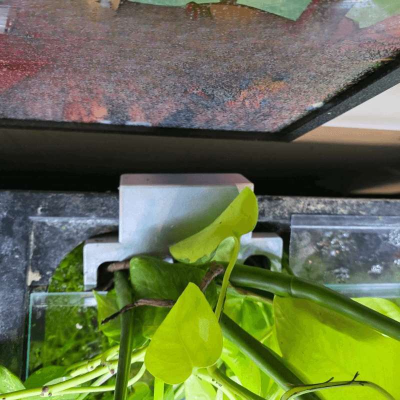 Aquarium-Seitenhalterung für P – Aquarium Plant Diseases Bewertung und Preis