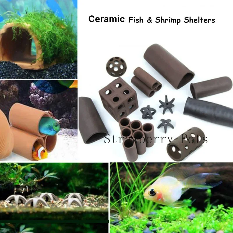 Keramik Aquarium Dekoration Fi – Aquarium Plant Rings Bewertung und Preis