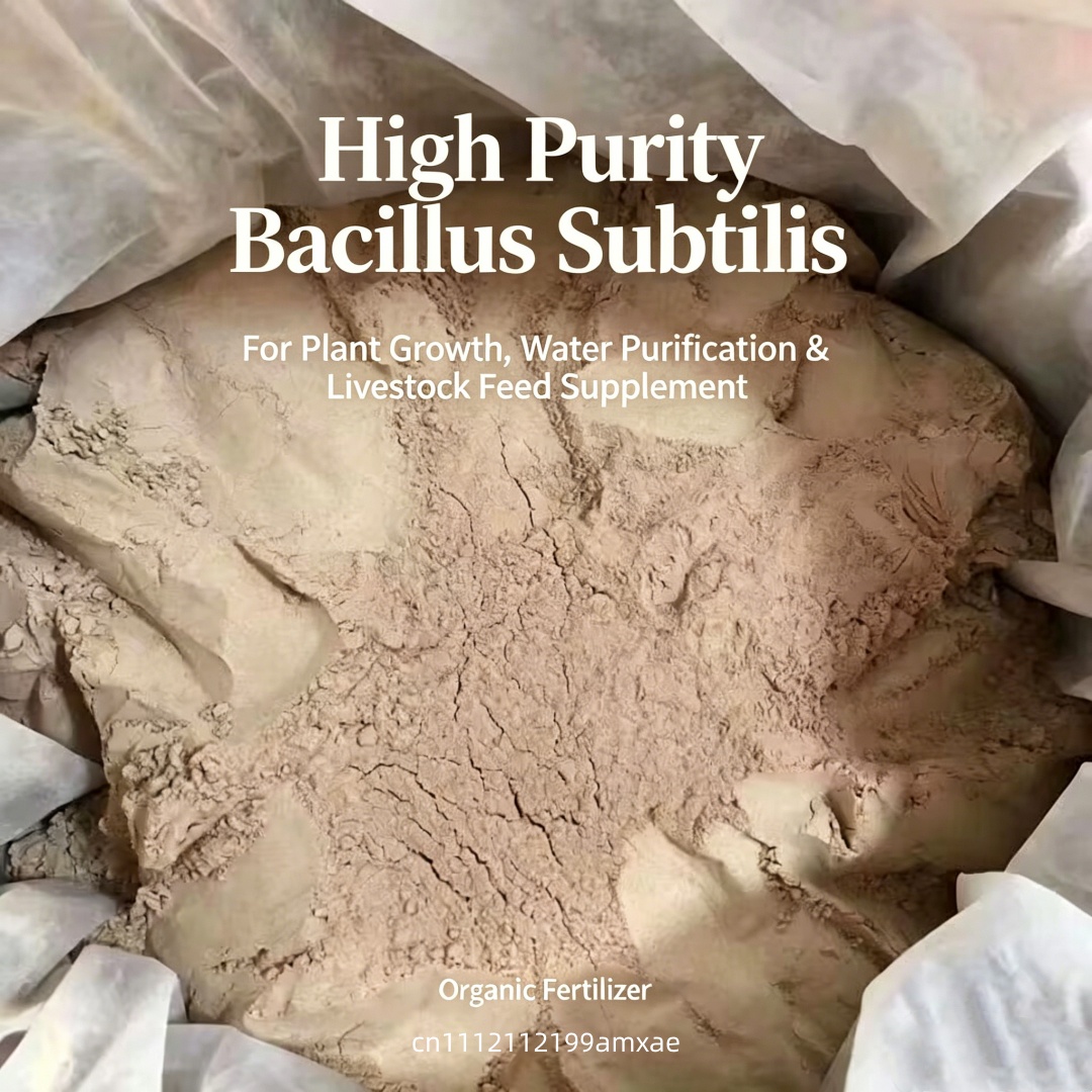 Hochwirksames Bacillus Subtili – Aquarium Plant Diseases Bewertung und Preis