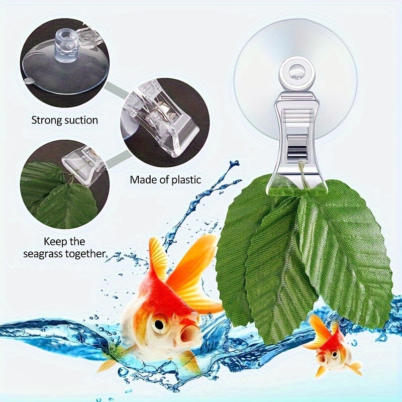 8 Stück Fisch-Algen-Clip Pflan – Aquarium Planting Ideas Bewertung und Preis