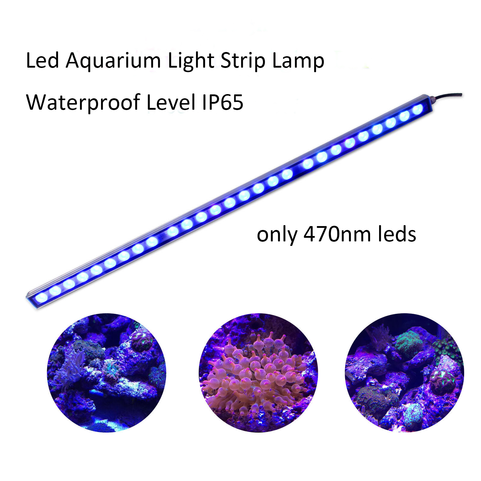 54W 81W 108W LED Bar Licht IP6 – Aquarium Plant Growth Light Bewertung und Preis