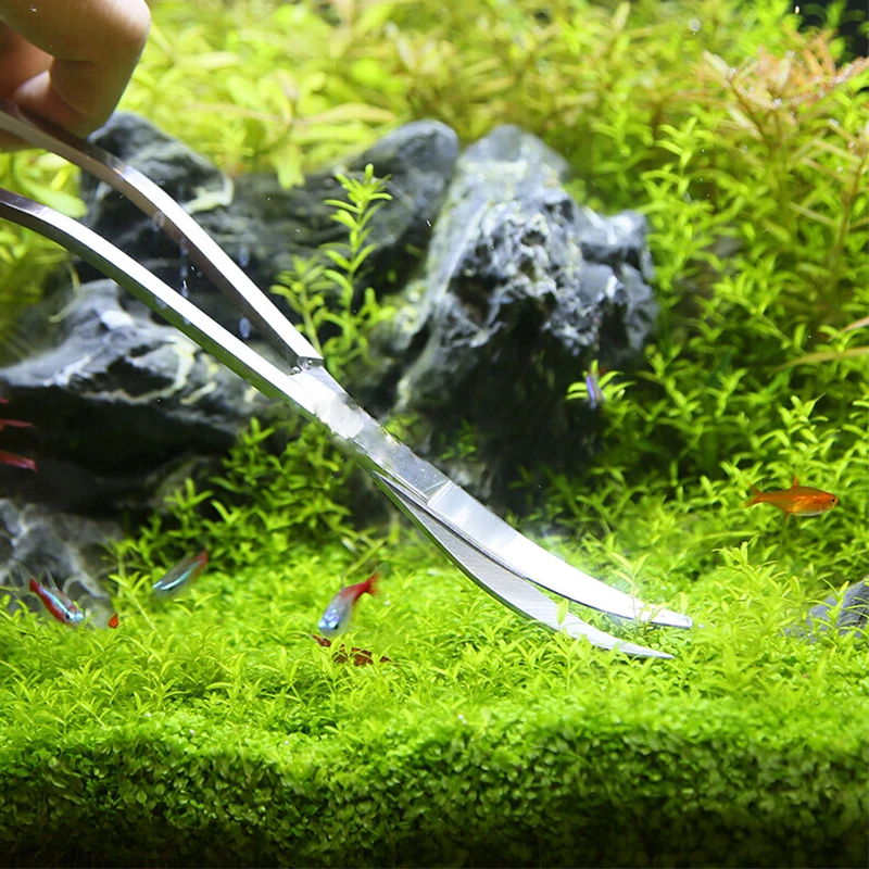Aquarium Schere Werkzeuge Aqua – Planted Aquarium Maintenance Kit Bewertung und Preis