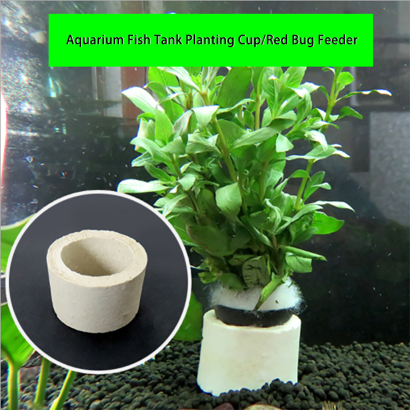 Aquarium Dekoration Keramik Ri – Aquarium Plant Rings Bewertung und Preis