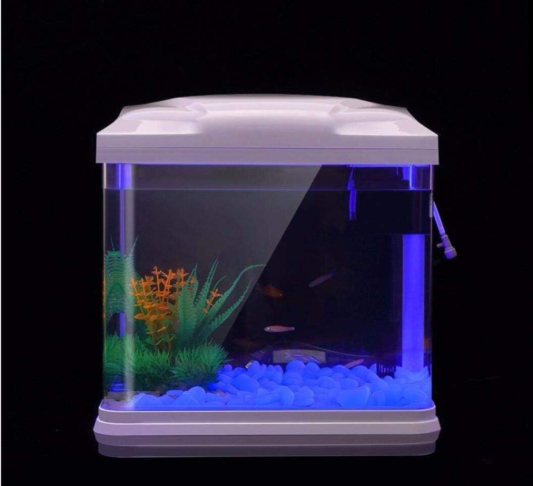 Aquarium-Felsen leuchten blaue – Aquarium Planting Ideas Bewertung und Preis