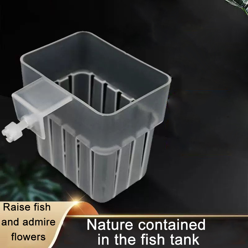 Transparenter Hydrokultur-Korb – Aquarium Plant Rings Bewertung und Preis