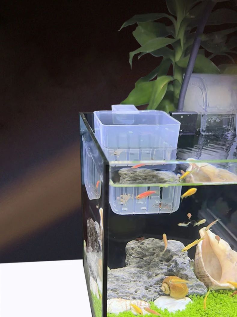 Transparenter Hydrokultur-Korb – Aquarium Plant Rings Bewertung und Preis
