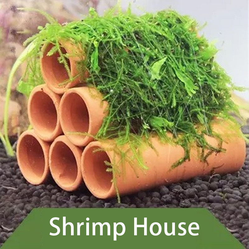 Ton Aquarium Dekoration Fisch  – Aquarium Plant Rings Bewertung und Preis