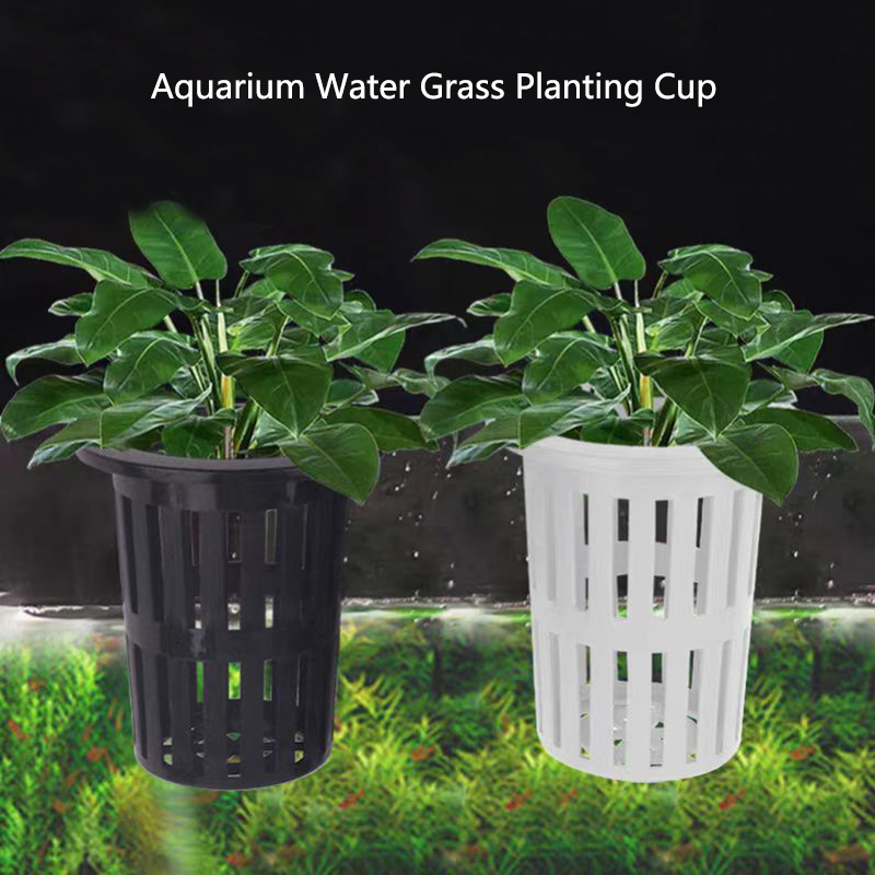 1/3Pcs Aquarium Pflanzen Korb  – Aquarium Plant Rings Bewertung und Preis