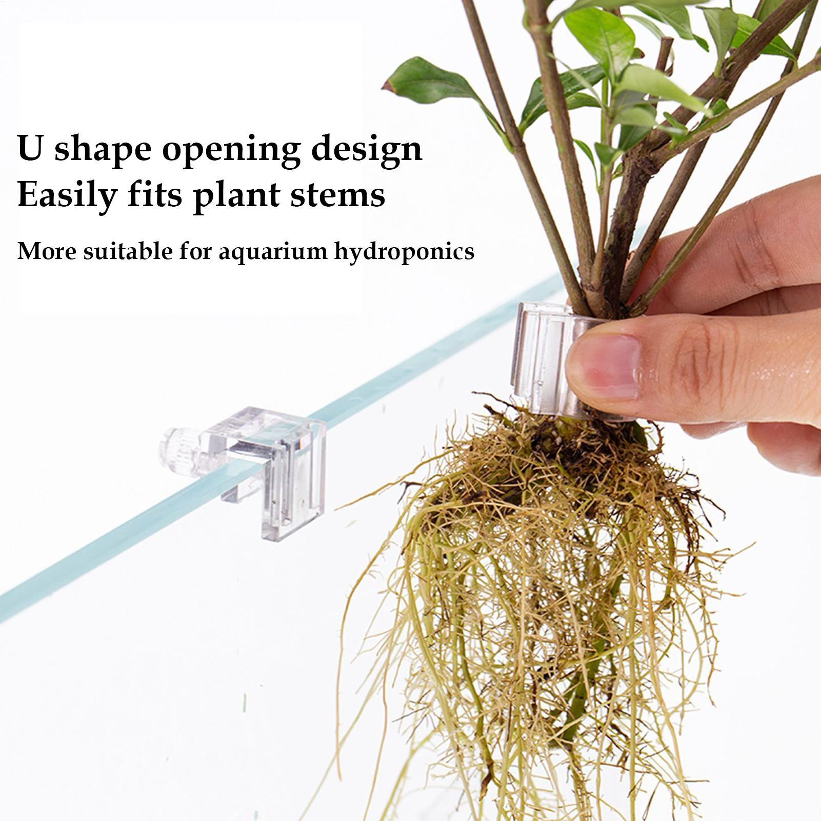 Aquarium-Pflanzenkorb Transpar – Aquarium Plant Rings Bewertung und Preis