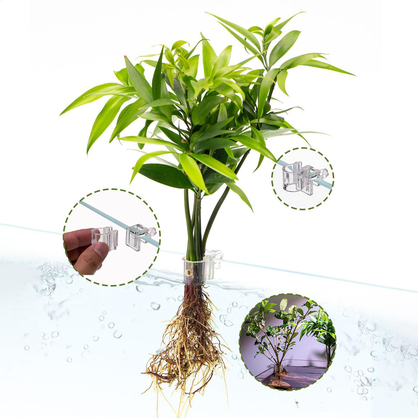 Aquarium-Pflanzenkorb Transpar – Aquarium Plant Rings Bewertung und Preis