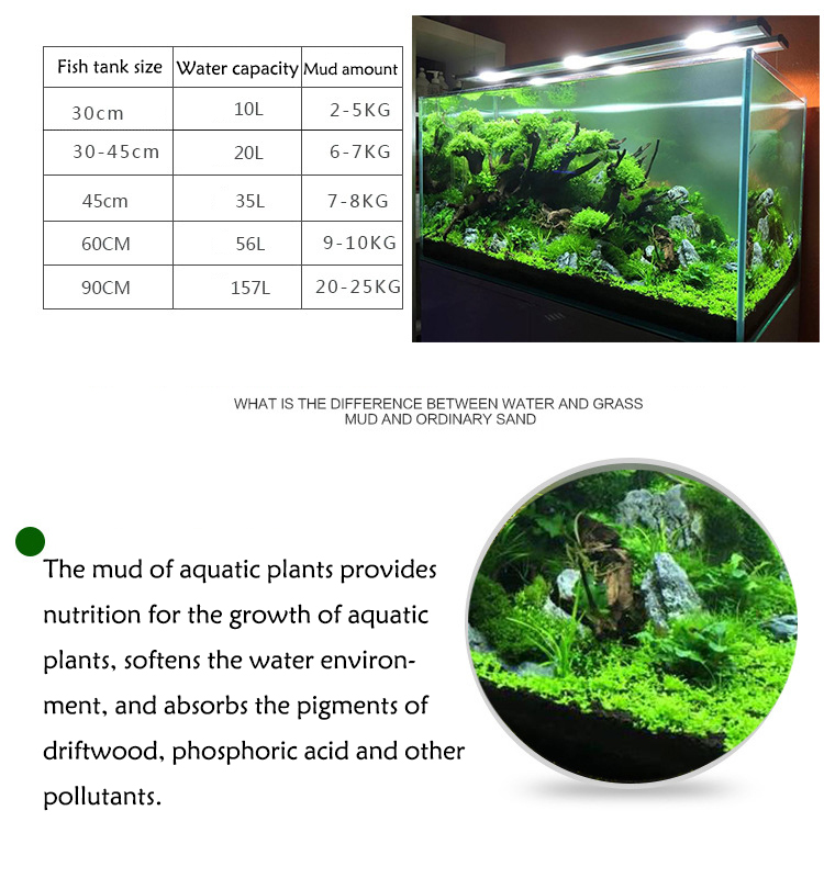 Aquarium Pflanzen Samen Boden  – Aquarium Plant Diseases Bewertung und Preis