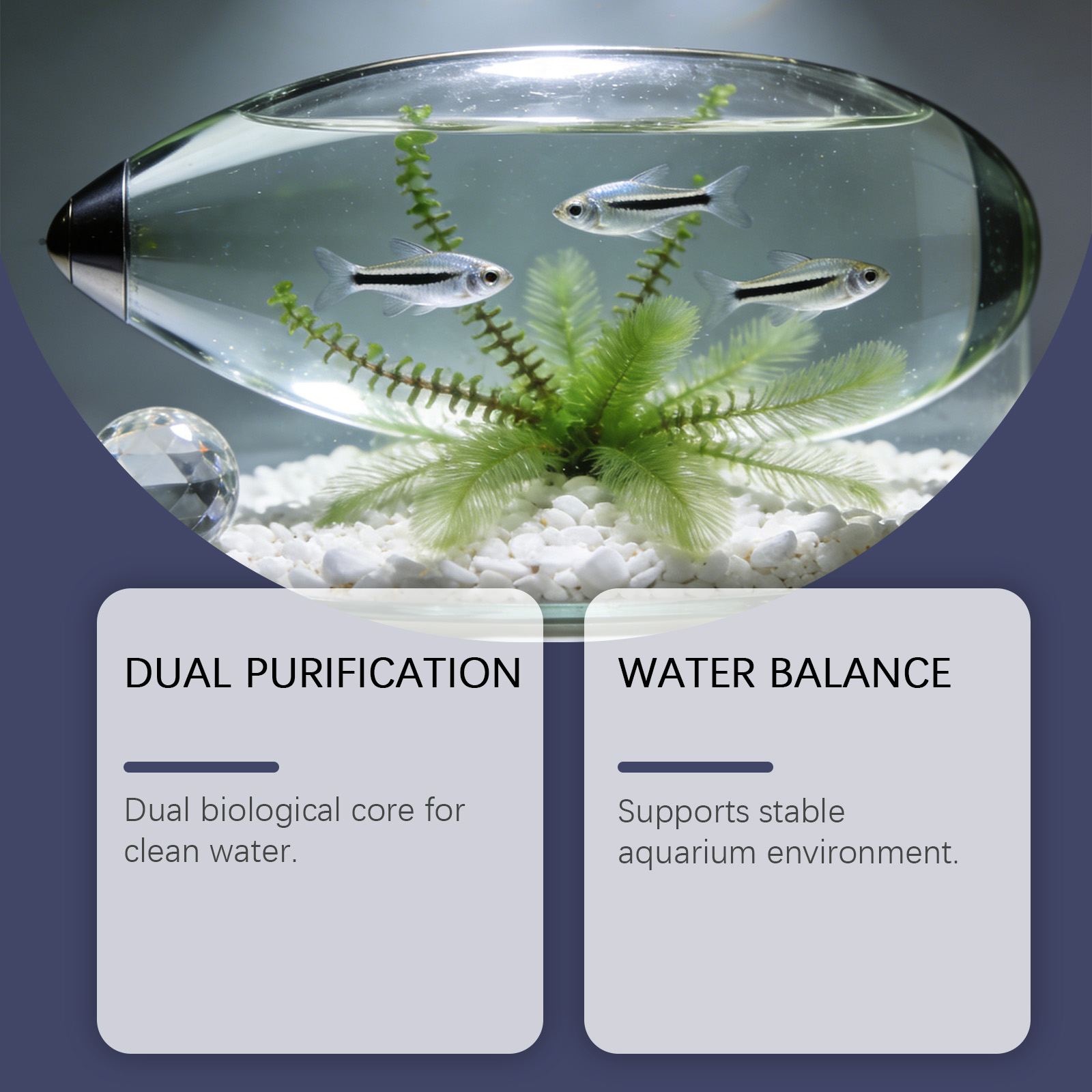 Algenentferner-Tabletten für A – Planted Aquarium Algae Control Bewertung und Preis