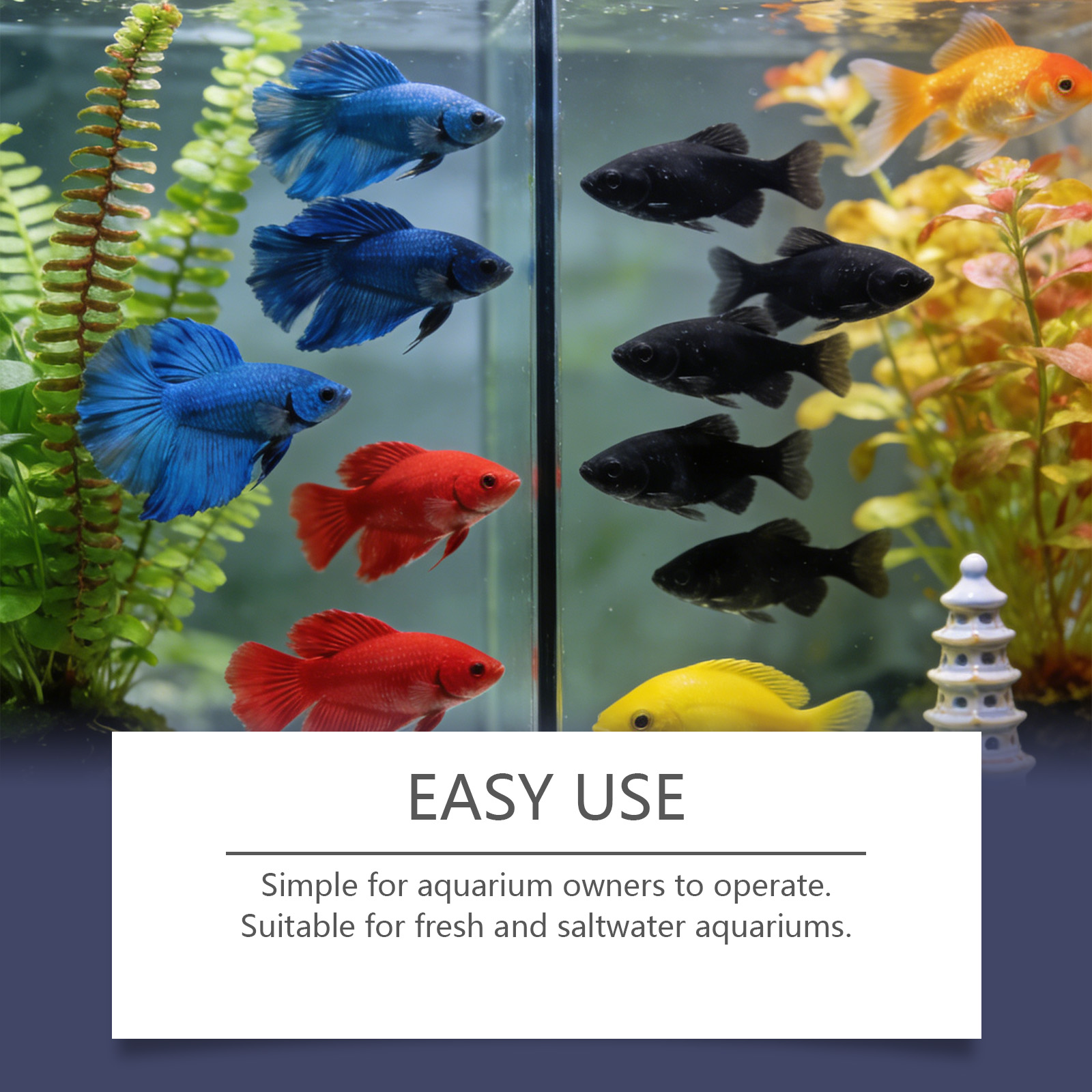 Algenentferner-Tabletten für A – Planted Aquarium Algae Control Bewertung und Preis