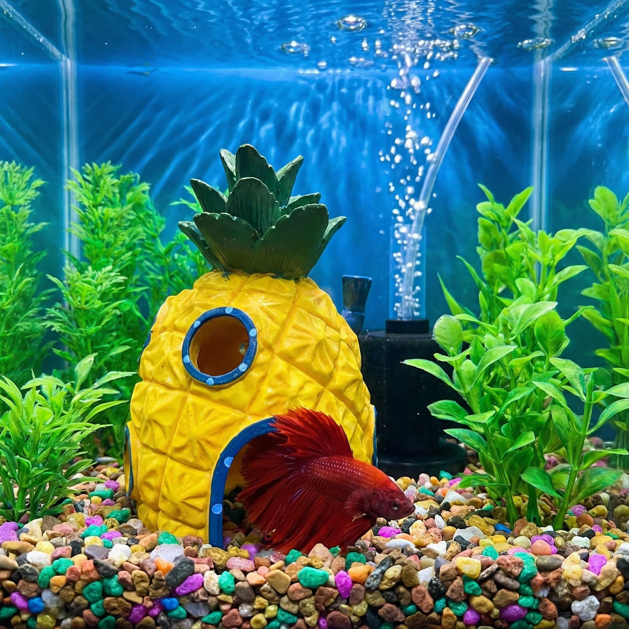 Ananas-Haus-Aquarium-Dekoratio – Aquarium Plant Growing Bewertung und Preis