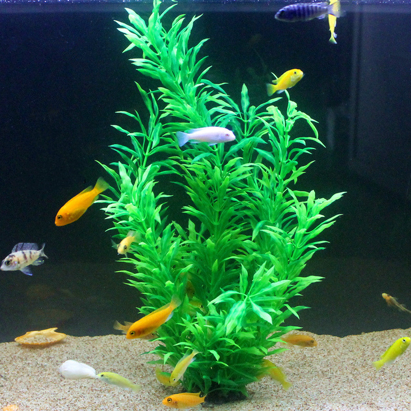 50CM Künstliche Aquarium Selte – Aquarium Planting Ideas Bewertung und Preis