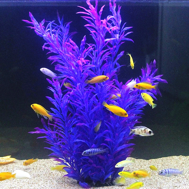 50CM Künstliche Aquarium Selte – Aquarium Planting Ideas Bewertung und Preis