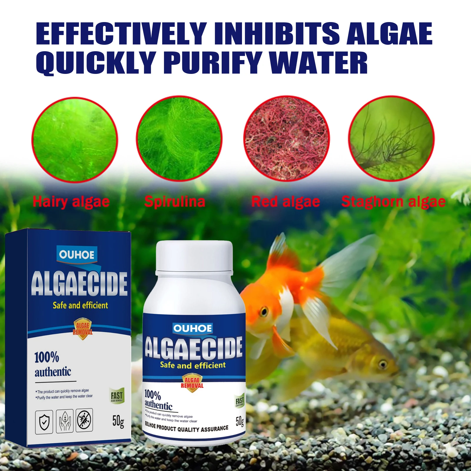 Aquarium-Algenentferner, hoche – Planted Aquarium Algae Control Bewertung und Preis