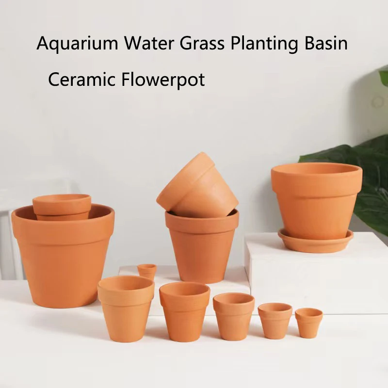 Rot Schlamm Aquarium Dekoratio – Aquarium Plant Rings Bewertung und Preis