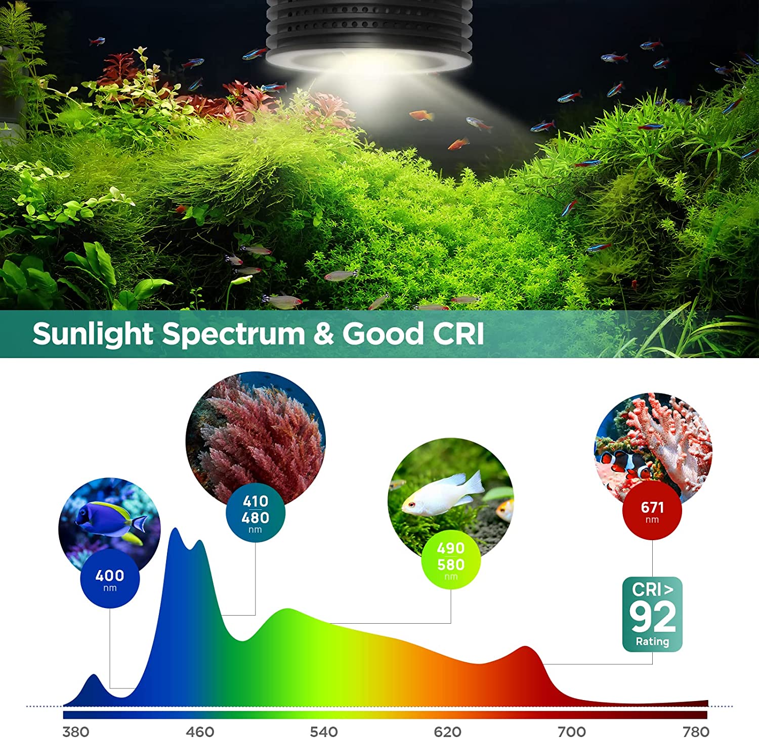 Lominie Asta 20 Süßwasser 18 W – Planted Aquarium Uv Light Bewertung und Preis